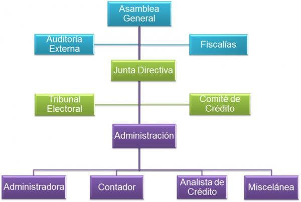 Organización Administrativa